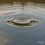 A ripple in the water