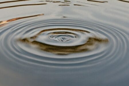 A ripple in the water