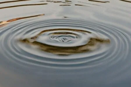 A ripple in the water