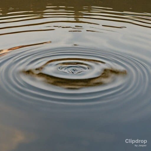 A ripple in the water