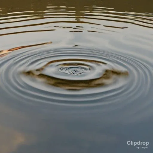 A ripple in the water